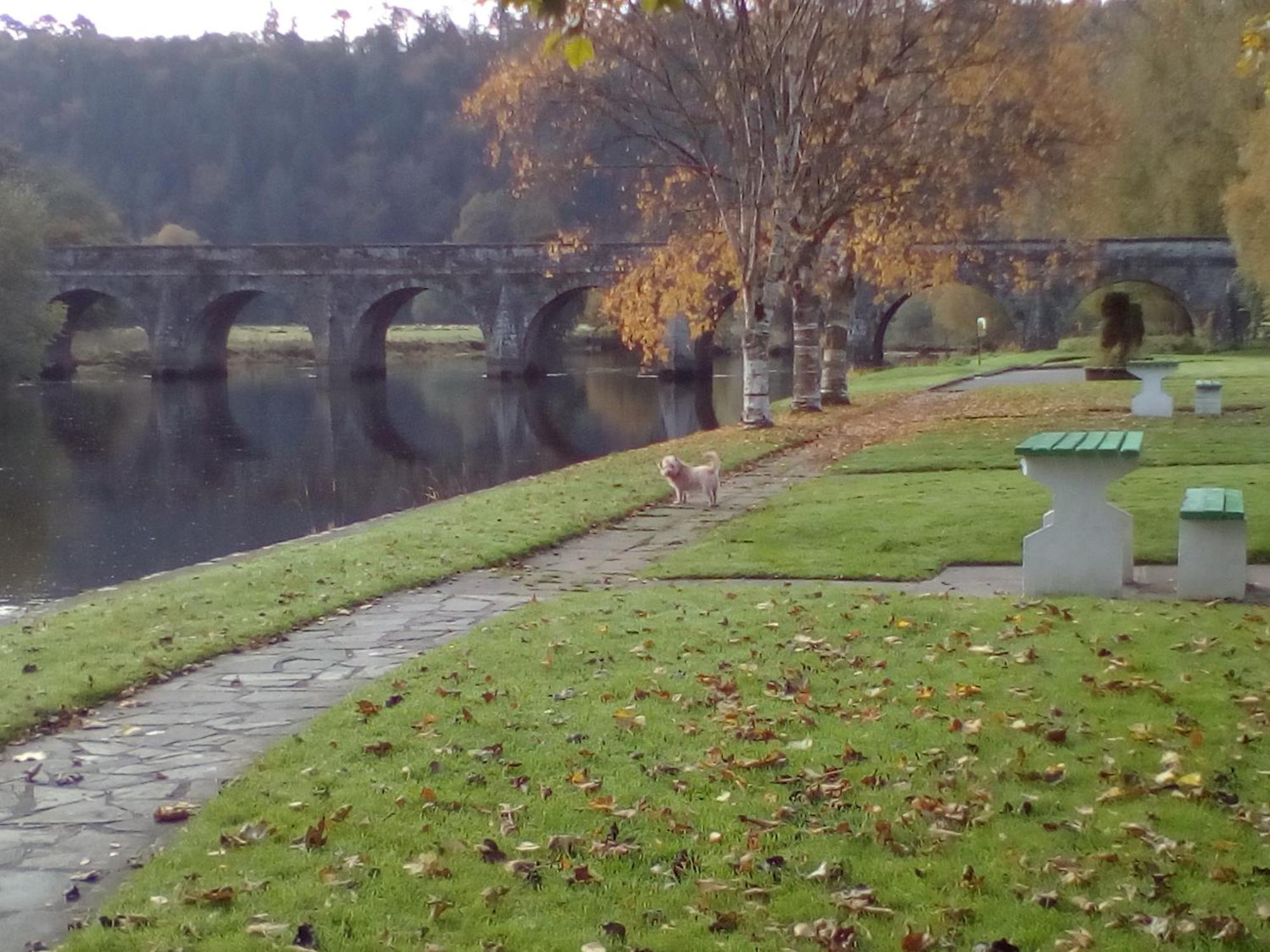 Woodstock Arms Bed & Breakfast Inistioge Bagian luar foto